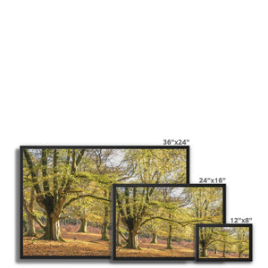 Pound hill Framed Canvas