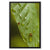 Leaf Macro 3 Framed Canvas