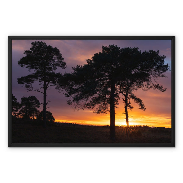 Sunset silhouette Framed Canvas