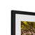 Forest 4 Framed & Mounted Print