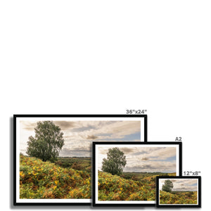 Seasons valley Framed Print