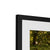 Forest 3 Framed & Mounted Print