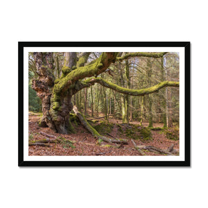 Acres gardian Framed Print