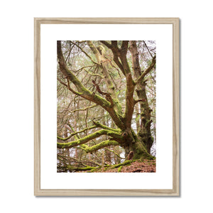 Acres gardian 2 Framed & Mounted Print