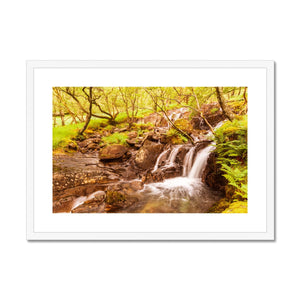 Forest 27 Framed & Mounted Print