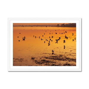 Sunset 6 Framed Print