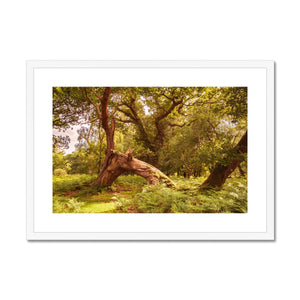 Forest 4 Framed & Mounted Print