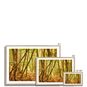 Forest 11 Framed Print