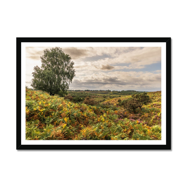 Seasons valley Framed Print