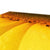 Sun Flower 4 Canvas