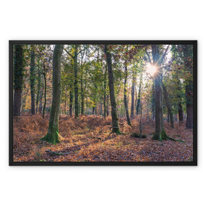 Catching light Framed Canvas