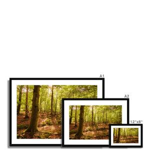 Forest 8 Framed & Mounted Print