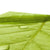 Leaf Macro 1 Canvas