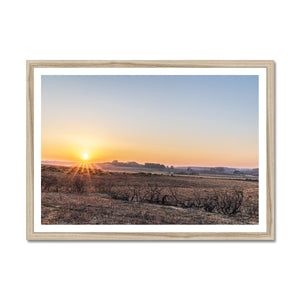 Sunset heath Framed Print