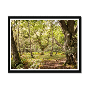 White moor Framed Print