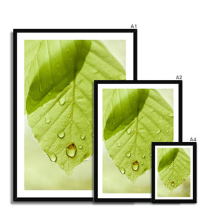 Leaf Macro 1 Framed Print