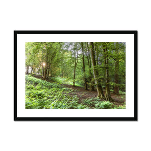 Puckpits valley 2 Framed & Mounted Print