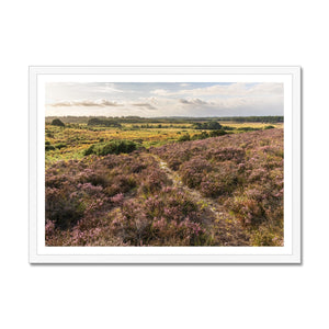 Holm Hill Framed Print