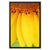 Sun Flower 4 Framed Canvas