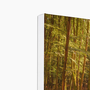 Forest 26 Canvas