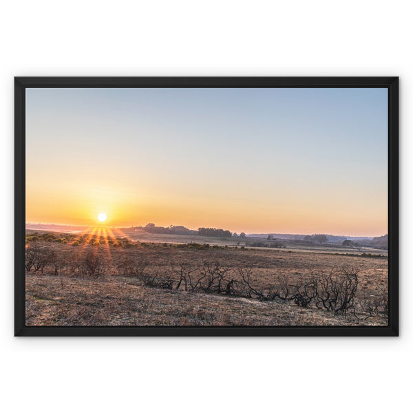 Sunset heath Framed Canvas