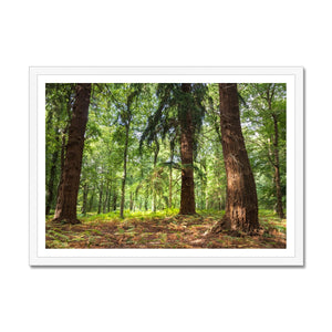 Stand together Framed Print