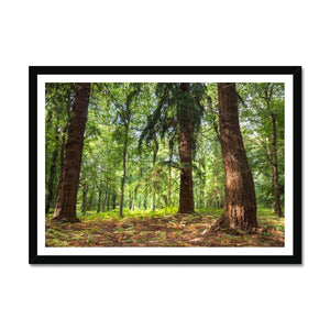 Stand together Framed Print