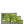 Emerald canopy forest scene