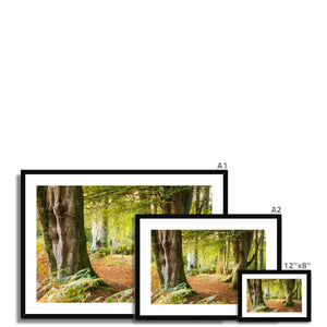 Forest 18 Framed & Mounted Print