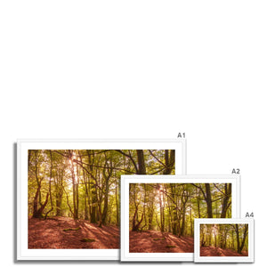 Forest 9 Framed Print