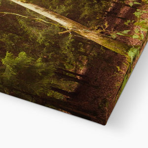 Forest 7 Canvas