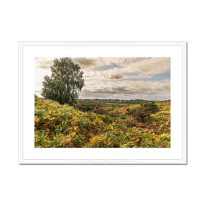 Seasons valley Framed & Mounted Print