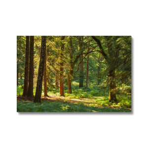 Forest 15 Canvas