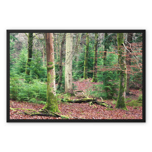 Wilverly Framed Canvas