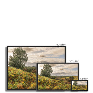 Seasons valley Framed Canvas