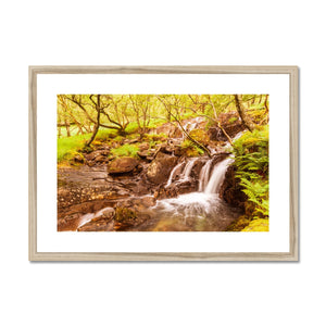 Forest 27 Framed & Mounted Print