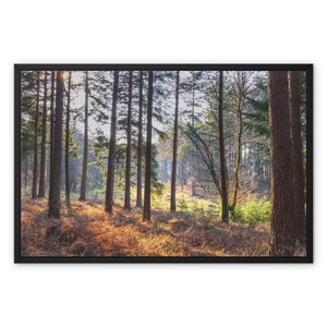 Bolder pines Framed Canvas