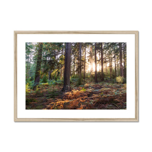 Wilverly at sunset Framed & Mounted Print