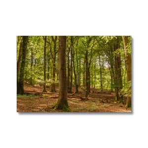 Forest 21 Canvas