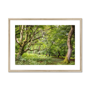 Green forest landscape