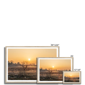 Sun reeds Framed Print