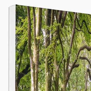 Green forest landscape