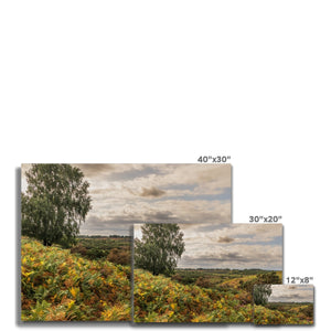 Seasons valley Canvas