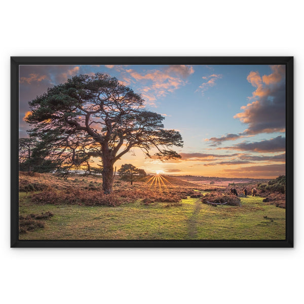 Scrape bottom sunset Framed Canvas