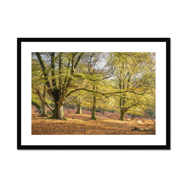 Pound hill Framed & Mounted Print