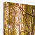 Forest 9 Canvas