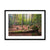 Autumn at Wilverly Framed & Mounted Print