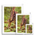 Forest  23 Framed Print