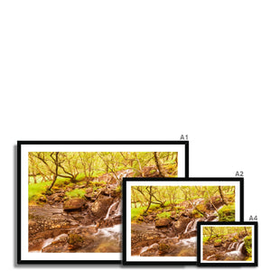 Forest 27 Framed Print