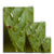 Leaf Macro 3 Canvas